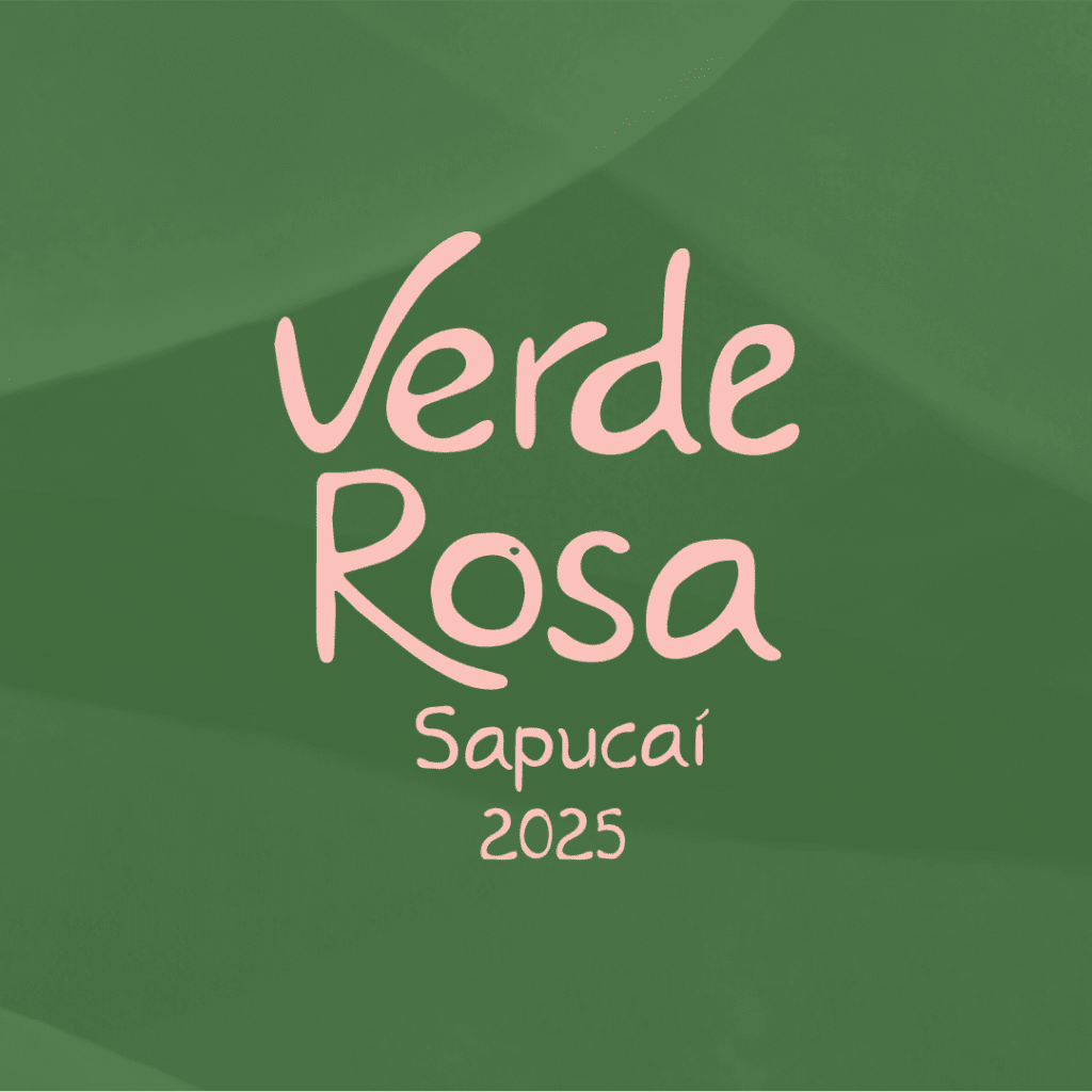 Identidade Visual do Camarote VerdeRosa criada pela Badauê