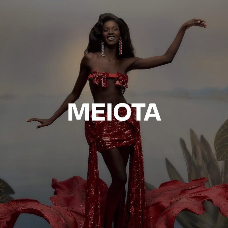 @meiotameiota